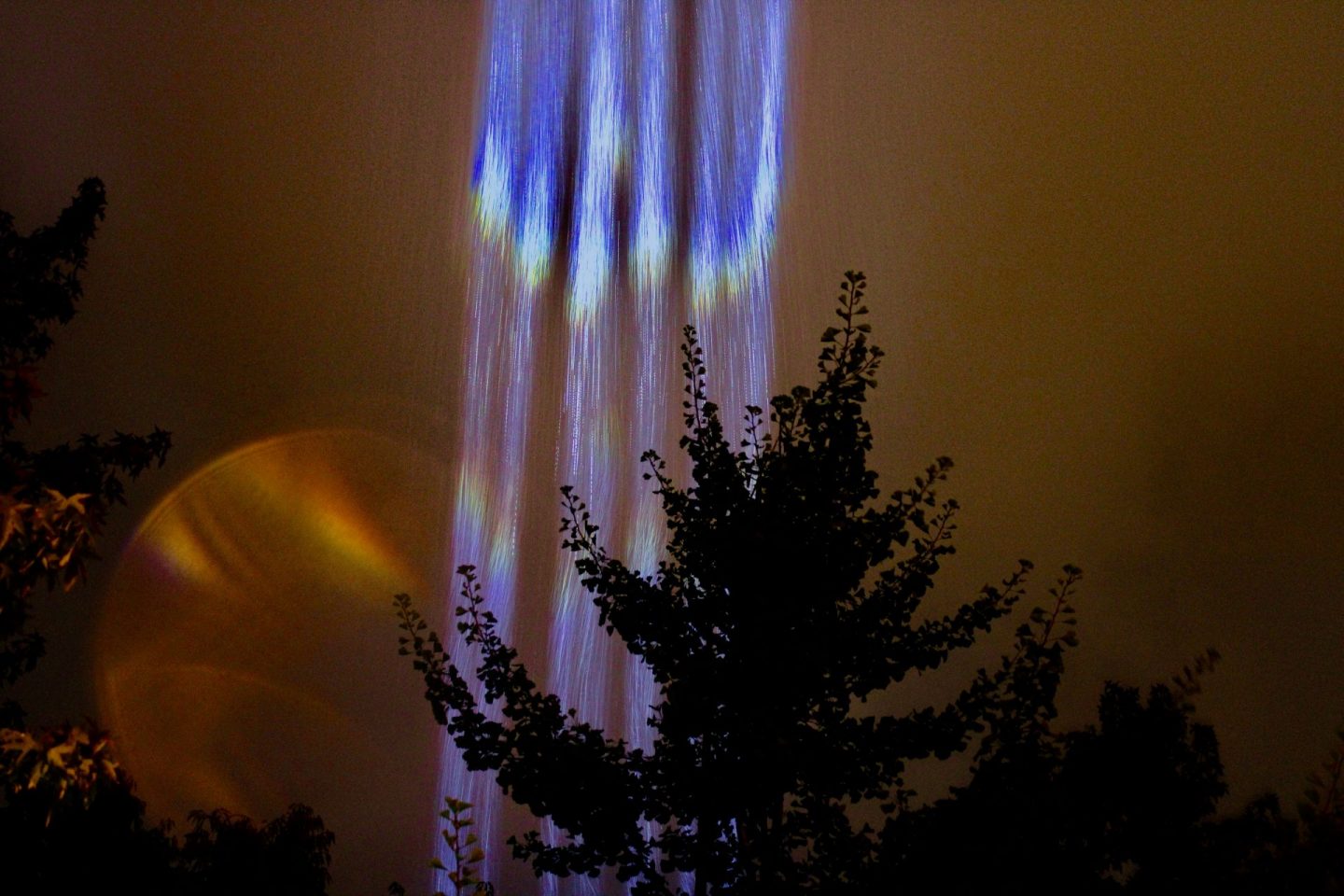 Beams of blue light shooting up into the sky, showing rain droplets amongst the light. The sky is dark and the shadow of a tree is in front of the light. Taken at Leeds Light Night.