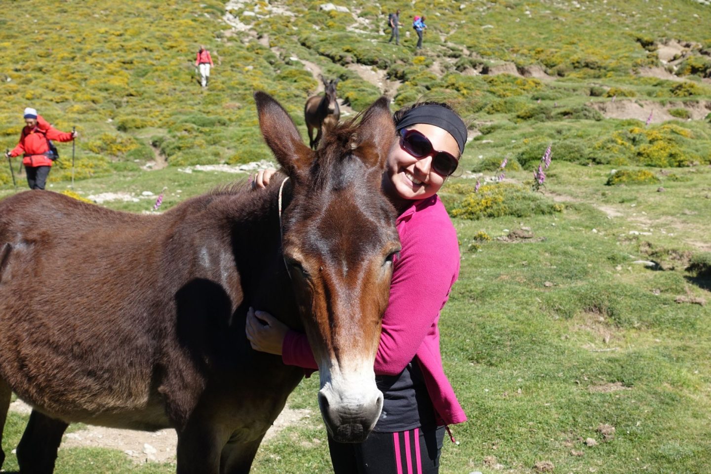 Nell cuddling a horse on the GR20, with green grass behind and other walkers in the background. She has her arms around the horse, is wearing a pink fleece and looks extremely happy.