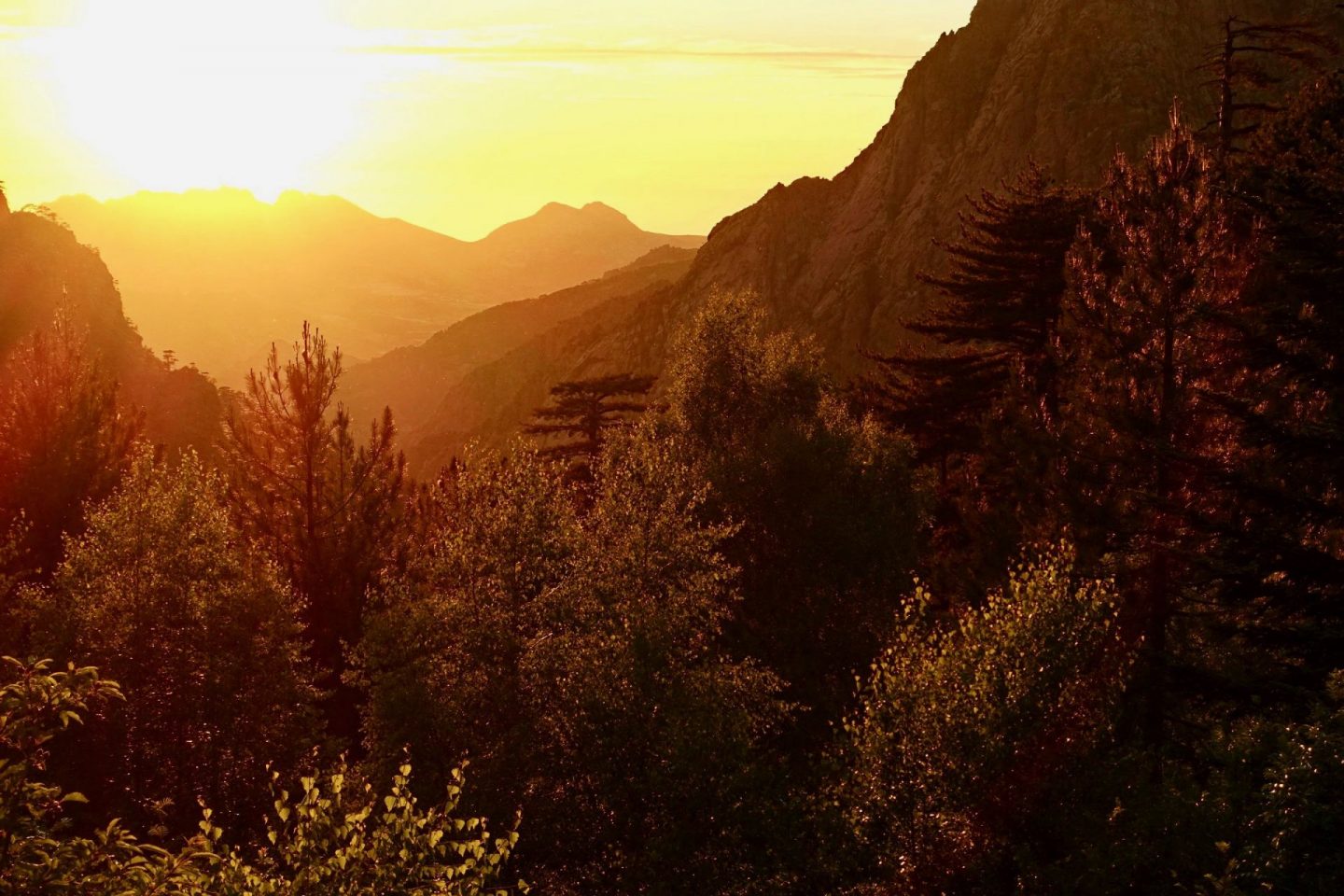 A beautiful sunset view over mountains and trees, with an orange sky