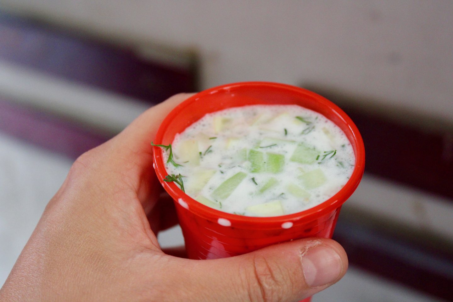 traditional bulgarian food in sofia: a portion of tarator in a red plastic cup, being held by a hand